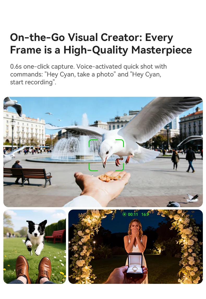 Meta AI Smart Glasses